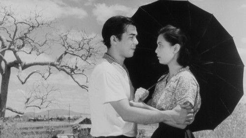 Malvarosa filmas žiurėti online