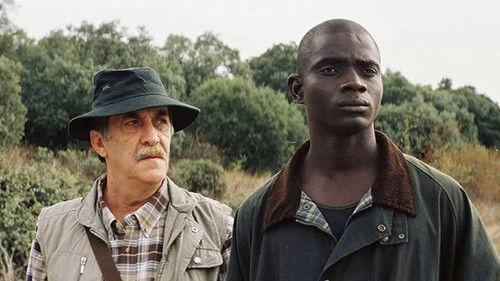 Naufragio filmas žiurėti online