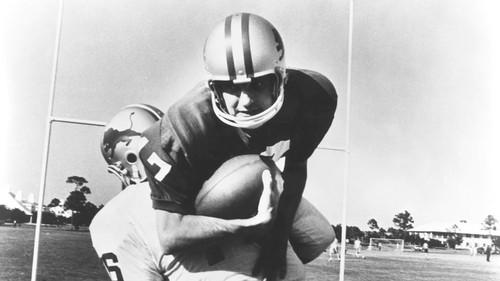 Paper Lion filmas žiurėti online