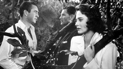 Mystery Submarine filmas žiurėti online