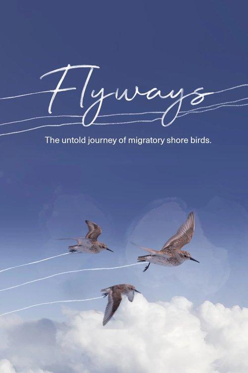 Flyways filmas online
