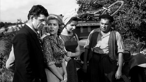 The Honors of War filmas žiurėti online