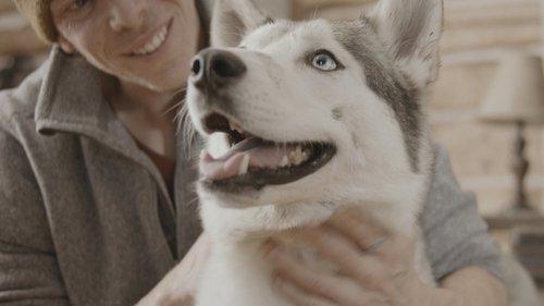 The Year of the Dog filmas žiurėti online