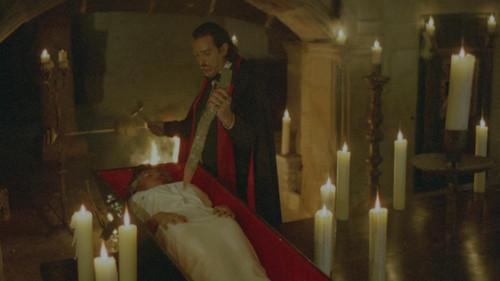 The Last Horror Film filmas žiurėti online