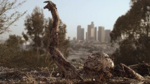 Starry Eyes filmas žiurėti online