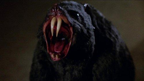 Deadly Eyes filmas žiurėti online