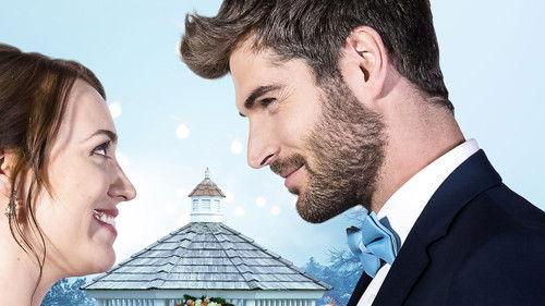 A Wedding Wonderland filmas žiurėti online