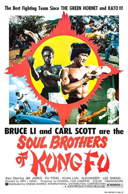 Soul Brothers of Kung Fu filmas online