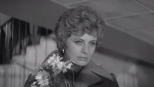 Seventh Skies filmas žiurėti online