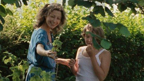 Le Rayon vert filmas žiurėti online