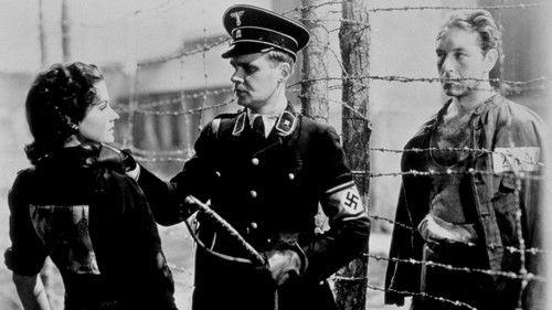 Night Train to Munich filmas žiurėti online