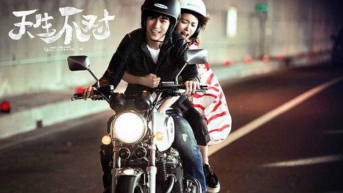 Two Wrongs Make a Right filmas žiurėti online