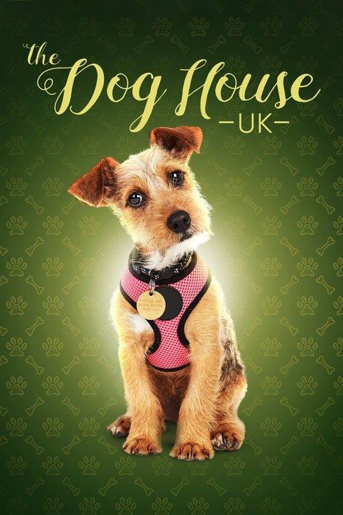 The Dog House filmas online