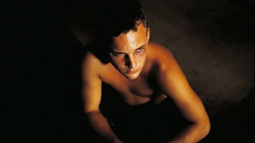 Bully filmas žiurėti online