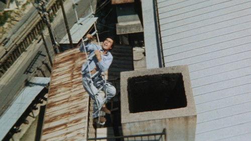 Jail Breakers filmas žiurėti online