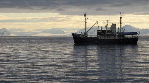 An Enemy to Die For filmas žiurėti online