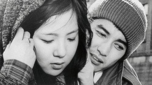 Oh Seagull, Have You Seen the Sparkling Ocean? An Encounter filmas žiurėti online