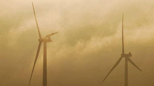 Windfall filmas žiurėti online