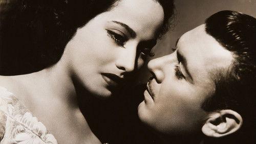 'Til We Meet Again filmas žiurėti online