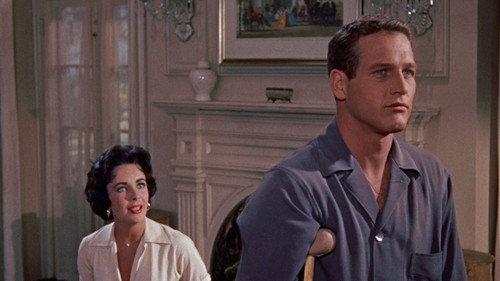 Cat on a Hot Tin Roof filmas žiurėti online