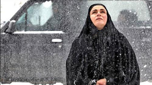 The Bear filmas žiurėti online