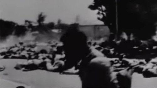 The Spiral filmas žiurėti online