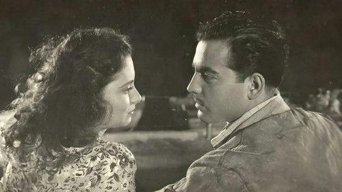 Murderous City filmas žiurėti online