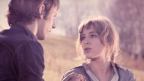 The True Nature of Bernadette filmas žiurėti online