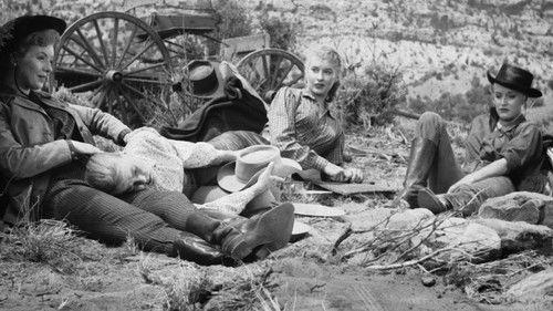 The Dalton Girls filmas žiurėti online