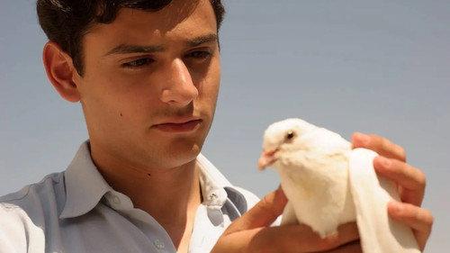 Farewell Baghdad filmas žiurėti online