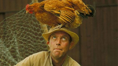 The Rascal filmas žiurėti online