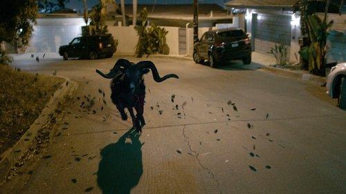 Behemoth filmas žiurėti online