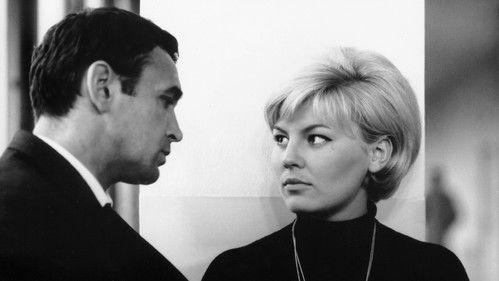 A Game Without Rules filmas žiurėti online