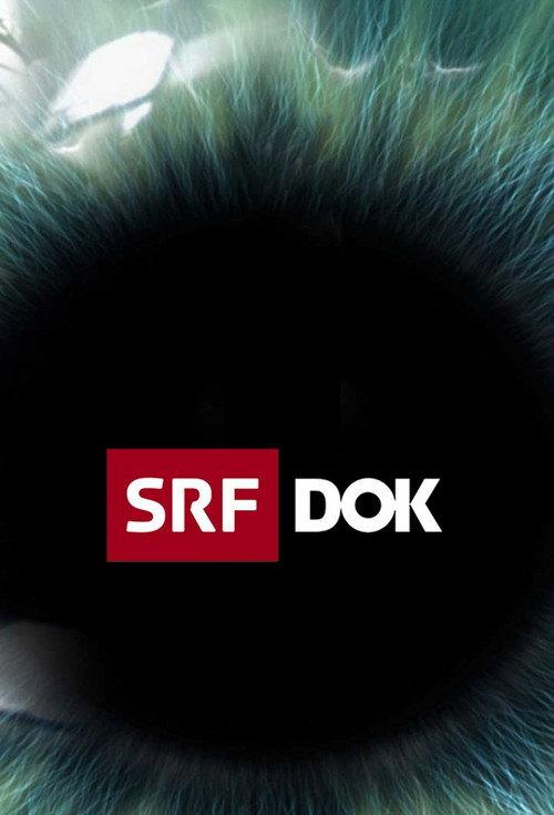SRF DOK filmas online