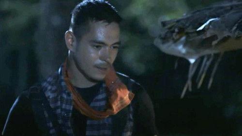 Lihis filmas žiurėti online