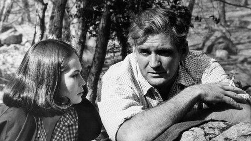 Fate Is the Hunter filmas žiurėti online