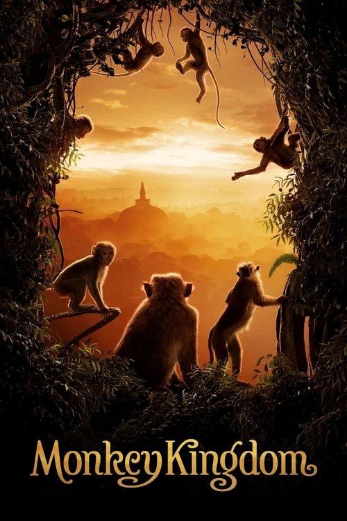 Monkey Kingdom filmas online