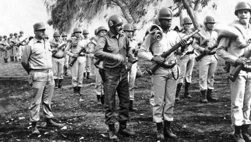 The City and the Dogs filmas žiurėti online