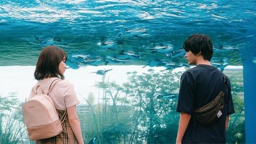 What She Likes filmas žiurėti online