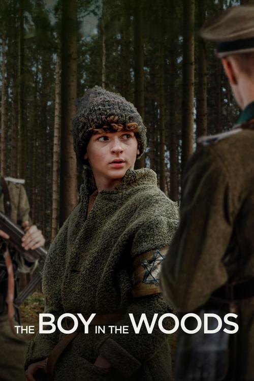 The Boy in the Woods filmas online