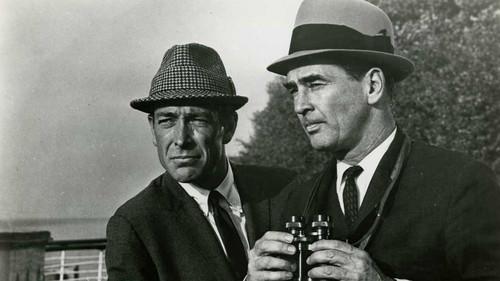 The Doctor and the Playgirl filmas žiurėti online