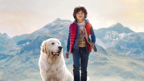 Gražuolė ir Sebastianas. Naujoji karta filmas žiurėti online