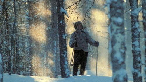 Nuoruuteni savotat filmas žiurėti online