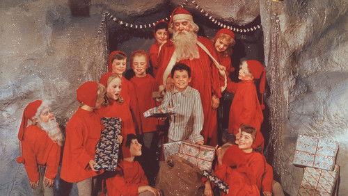 Father of Four: In the City filmas žiurėti online