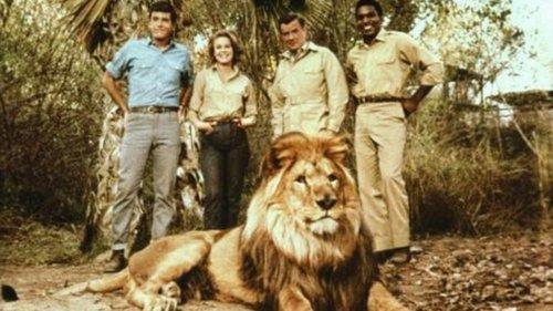 Clarence, the Cross-Eyed Lion filmas žiurėti online