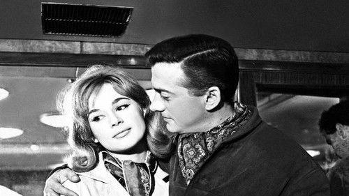 The Underdog filmas žiurėti online