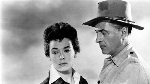 Harry Black and the Tiger filmas žiurėti online