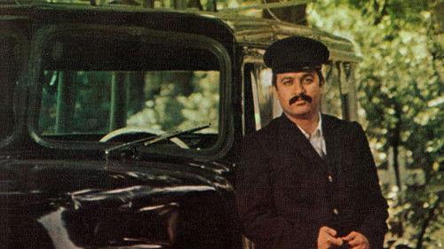 Despite Everything filmas žiurėti online