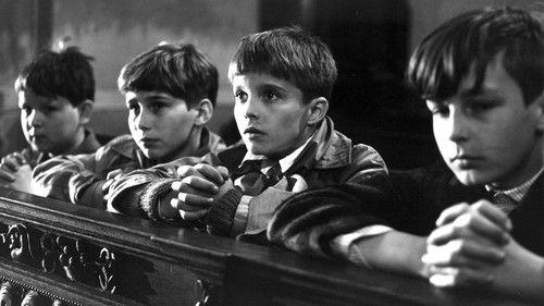 Vracenky filmas žiurėti online