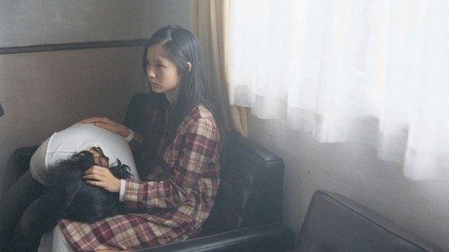 Sad Vacation filmas žiurėti online